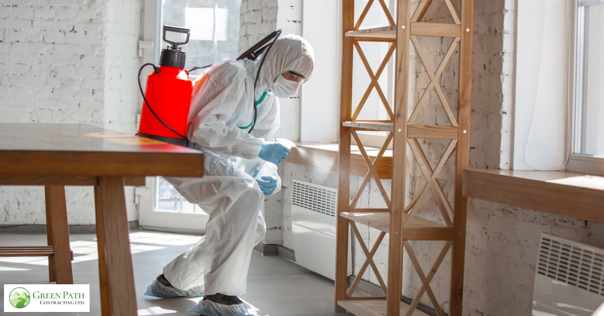 Asbestos Exposure Health Problems | Green Path