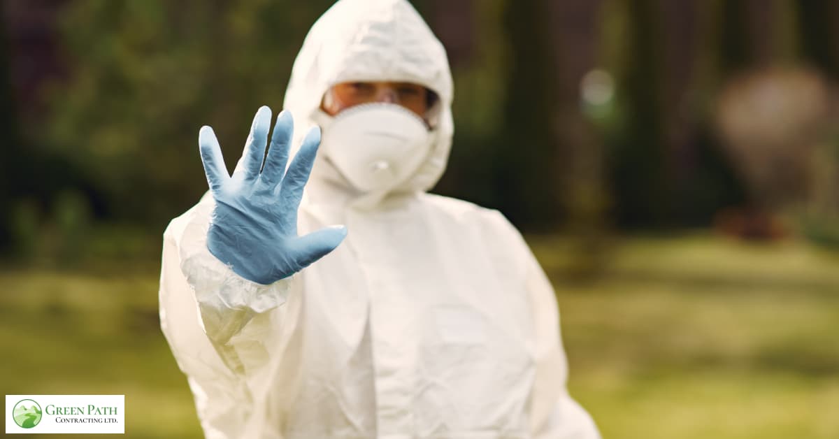 What Is Asbestos Exposure? | Green Path