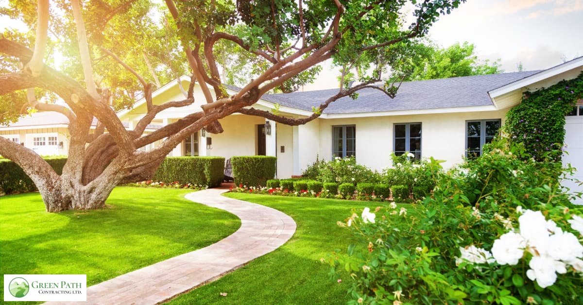 Cheap and Creative Ideas To Enhance Your Front Yard Look | Green Path