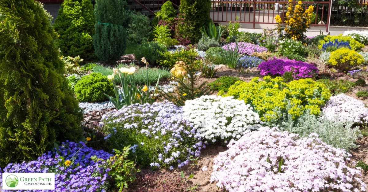 Planting On a Budget |cheap simple front yard landscaping ideas