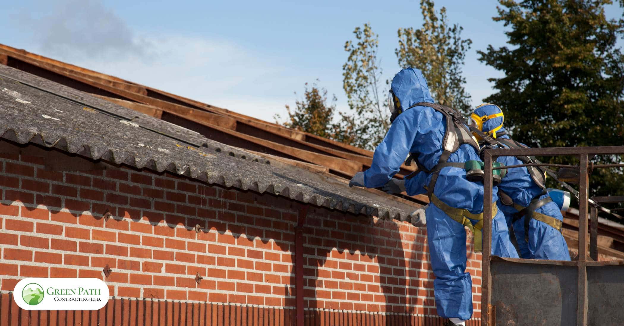 How much does professional asbestos removal cost